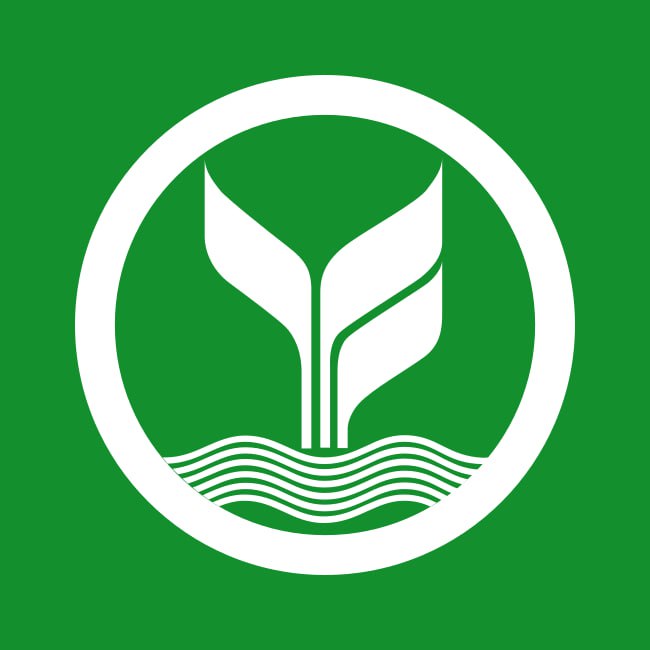 halo555