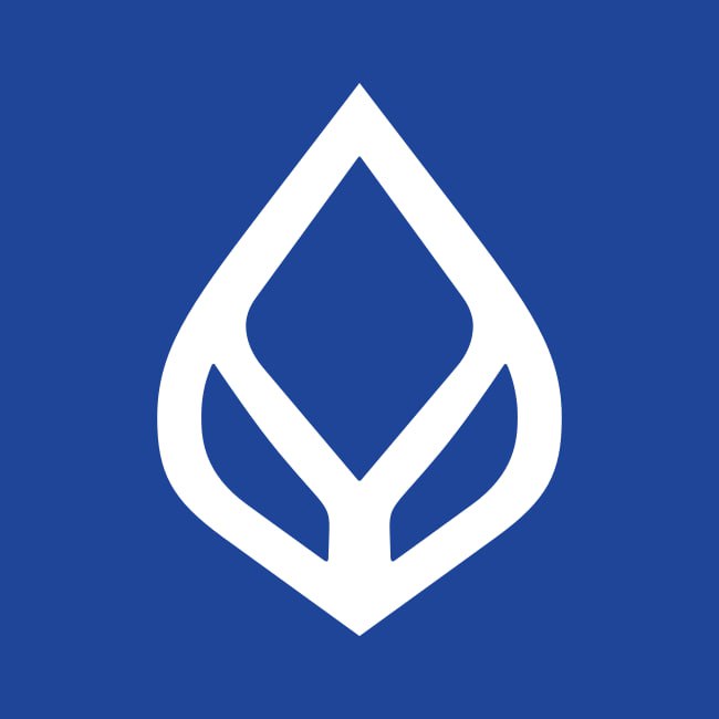halo555